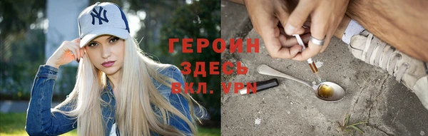 шишки Новодвинск