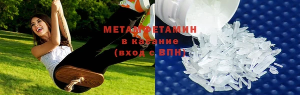 шишки Новодвинск