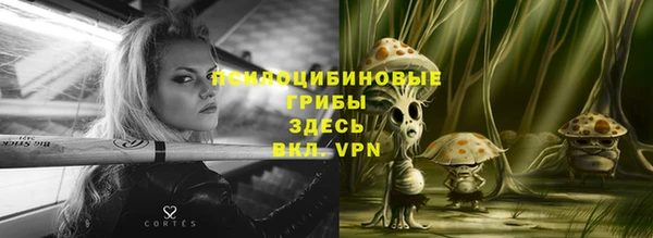 наркотики Новозыбков