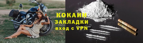 шишки Новокубанск