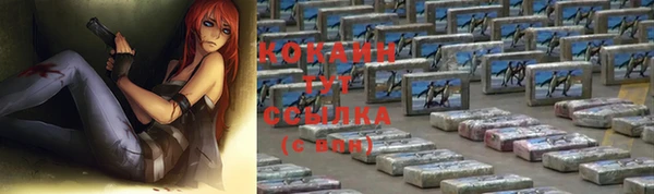 шишки Новодвинск