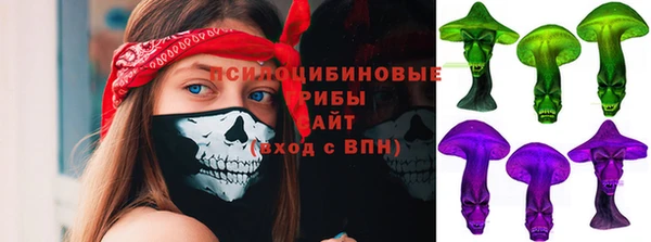 шишки Новокубанск