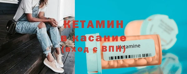шишки Новодвинск