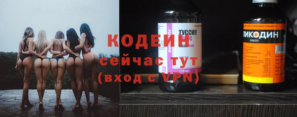 шишки Новодвинск
