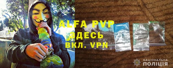 шишки Новодвинск