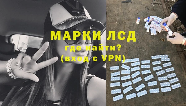 шишки Новодвинск