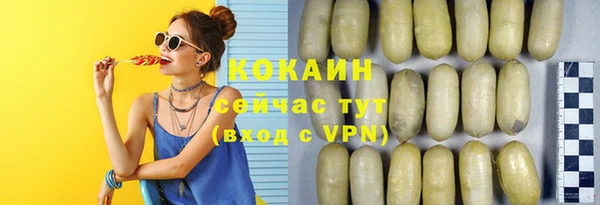 шишки Новокубанск