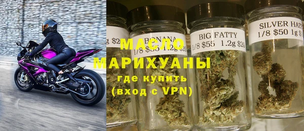 шишки Новодвинск