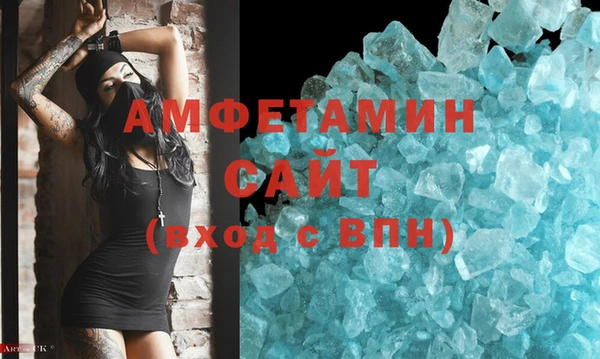 шишки Новодвинск
