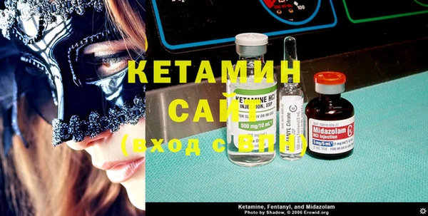 шишки Новодвинск