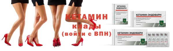 шишки Новодвинск