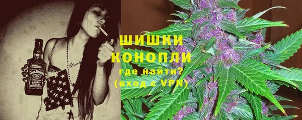 шишки Новокубанск
