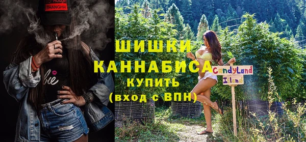 шишки Новокубанск
