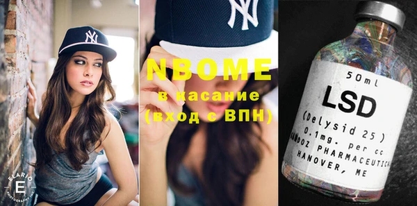 шишки Новодвинск