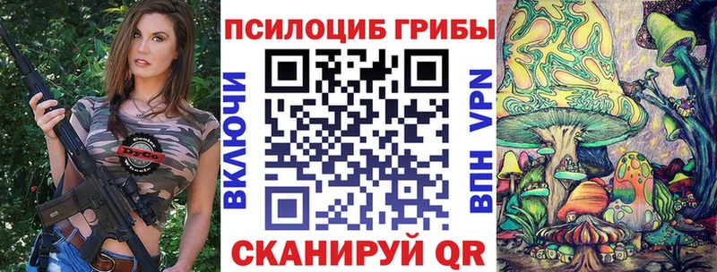 Псилоцибиновые грибы Psilocybe Шахунья