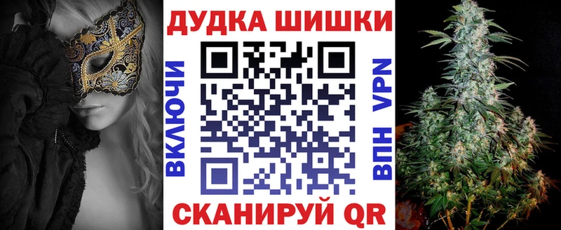 цена   Шахунья  Конопля семена 